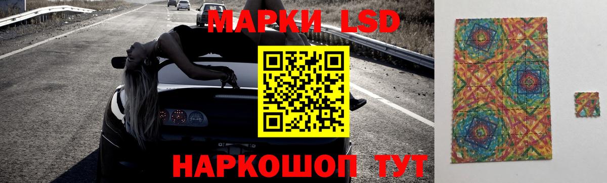 MEGA ССЫЛКА  Лсд 25 экстази кислота  ЛСД экстази ecstasy  LSD-25 экстази  Вход с VPN  Елизово 