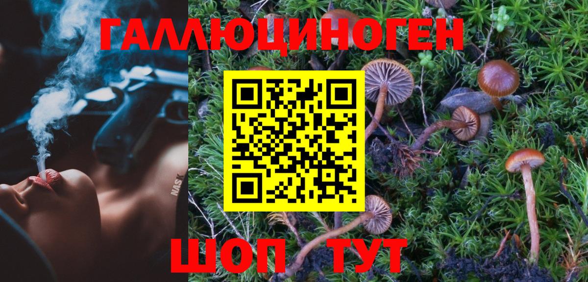 Псилоцибиновые грибы Cubensis  Галлюциногенные грибы Psilocybe  купить   Вход с VPN  Елизово 